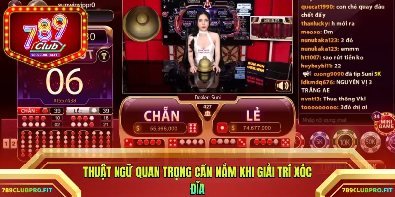 Thuật ngữ quan trọng cần nắm khi giải trí xóc đĩa